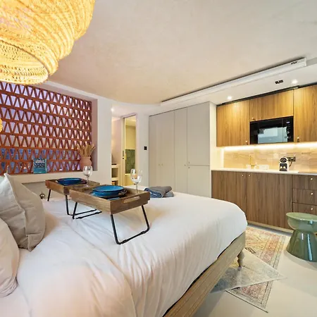 Pavillon 15 Darcy - Appart-suites Urbaines & Design * Дижон